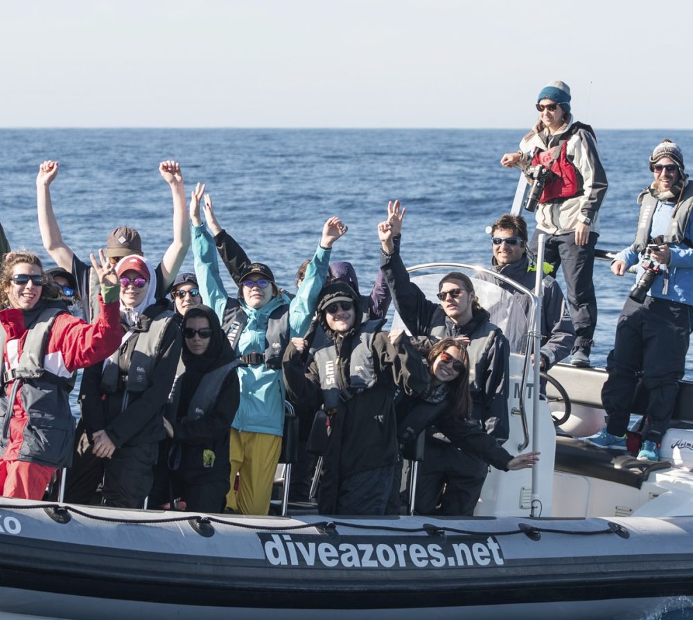 how-we-operate-gall3