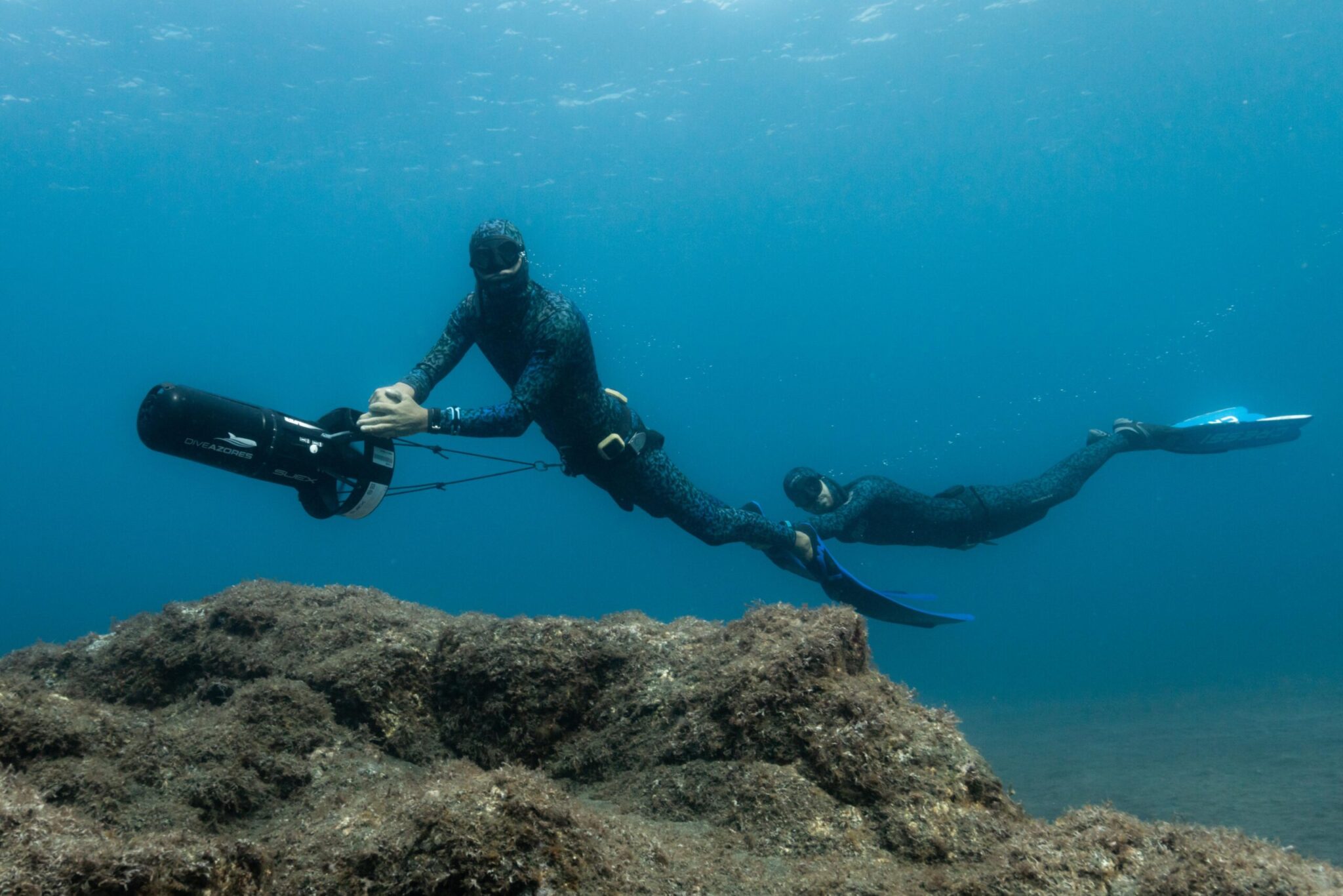 Reef Dives - DiveAzores